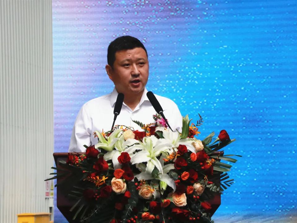金龙全年资料免费大全